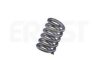 BMW 18300391795 Spring, silencer